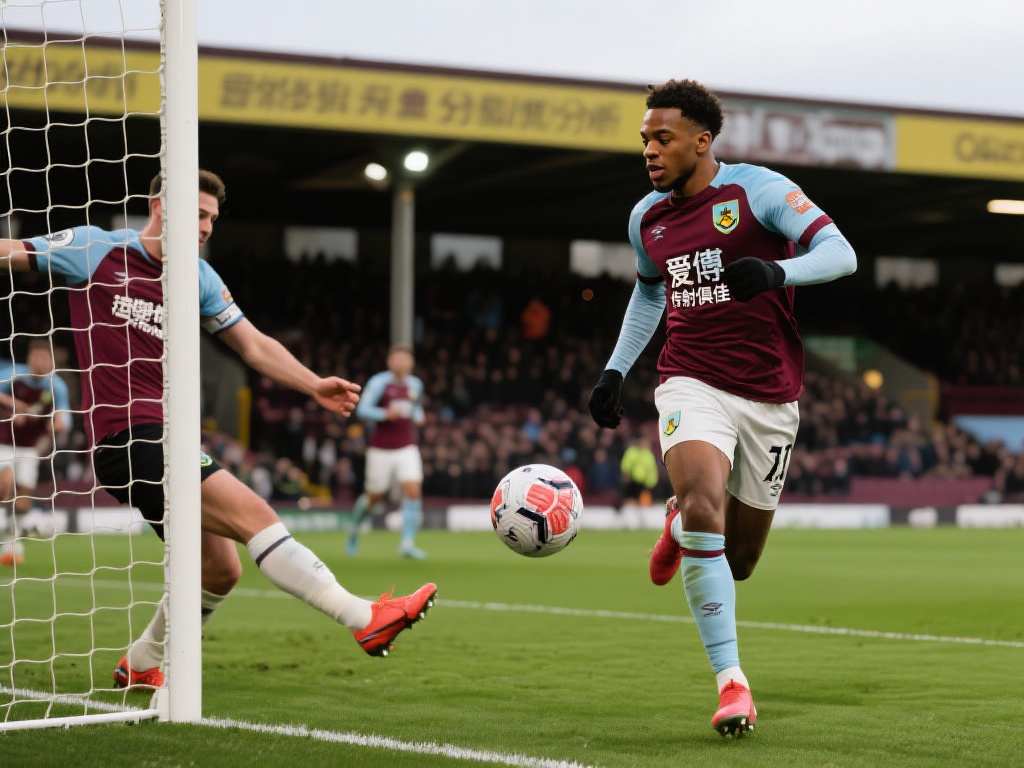 往往因为防 往往因为防